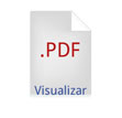 Visualizar